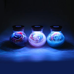 LED Creative Flower Bottle Light Night Lights iTimo Lighting Store 