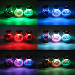 LED Creative Flower Bottle Light Night Lights iTimo Lighting Store 