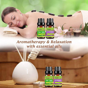 All Natural Essential Oils (6 pcs Gift Box) Essential Oil Elite99 Royal Beauty 