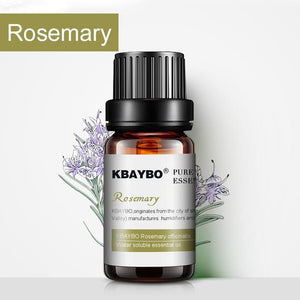 All Natural Plant Extract Essential Oils Humidifiers KBAYBO Official Store Rosemary 